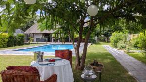 Bazén v ubytování Sunbirds Lodge Chobe nebo v jeho okolí