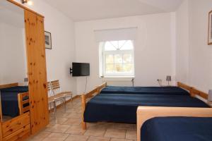 a bedroom with two beds and a tv and a window at Ferienwohnanlage Gut Bundhorst, Stolpe in Stolpe