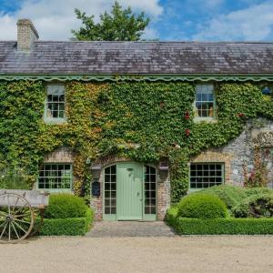 a stone house with a green door and ivy at Cliff at Lyons in Celbridge