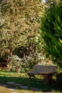 un banc dans l'herbe dans un parc dans l'établissement casa akacia, à Telavi