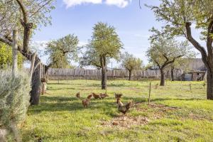 Ein Garten an der Unterkunft Finca Sa Tanqueta Rústica