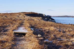 a bench on a field next to a body of water at appartement bord de mer in Saint-Pierre +2 photos