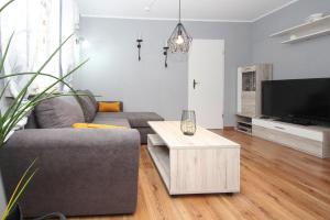 Apartment, Malchow في مالتشو: غرفة معيشة مع أريكة رمادية وتلفزيون