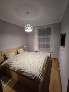 a bedroom with a bed and a television and a window at Apartamenty Wola in Warsaw