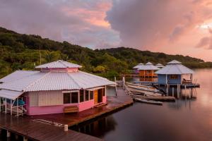 een groep huizen op een dok in het water bij Mango Creek Lodge in Port Royal