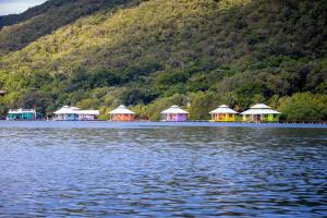 un grupo de chozas a orillas de un lago en Mango Creek Lodge en Port Royal