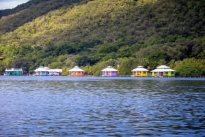 a group of huts on the shore of a lake at Mango Creek Lodge in Port Royal