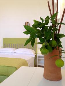 a potted plant sitting on a table in a bedroom at Masseria Corte degli Asini in Montalbano