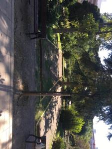 cień budynku z roślinami po jego stronie w obiekcie Bonito piso en Puerto de Sagunto w mieście Puerto de Sagunto