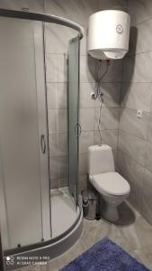 La salle de bains est pourvue d'une douche, de toilettes et d'une lumière. dans l'établissement Готель ТІК Копичинці, à Sukhostav