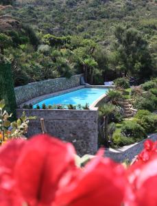 Maridea - La Caletta - Luxury Villa في بونسا: مسبح في حديقة فيها ورد احمر