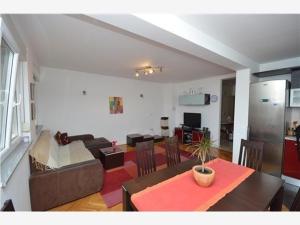 TV a/nebo společenská místnost v ubytování Apartment Vesna