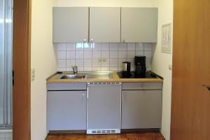 een kleine keuken met een wastafel en een aanrecht bij Apartment Bears, Meersburg in Meersburg