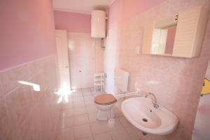 a bathroom with a toilet and a sink at Antodo Alen in Novalja