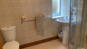 a bathroom with a toilet and a sink and a shower at Longstone farm in Helston