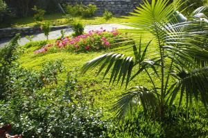 Um jardim no exterior de Holiday Home Ribeira Brava - FNC01007-F