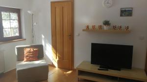 TV a/nebo společenská místnost v ubytování Apartmány Vydrýsek