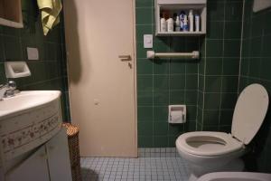 a green tiled bathroom with a toilet and a sink at Habitación en Las Cañitas Palermo el mejor lugar de Bs As in Buenos Aires