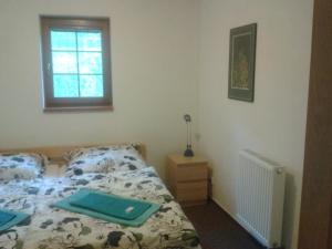 Postel nebo postele na pokoji v ubytování Apartmány Vydrýsek
