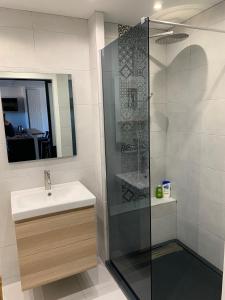 La salle de bains est pourvue d'un lavabo et d'une douche en verre. dans l'établissement Plage à pied à 3 mns, à La Seyne-sur-Mer
