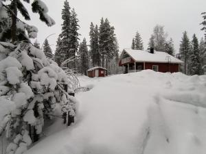 a house covered in snow next to a tree at Velhonkieppi in Kittilä