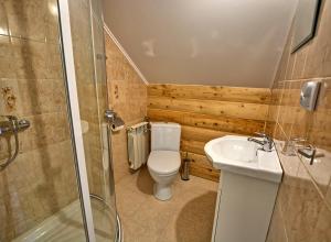 a bathroom with a toilet and a sink and a shower at Agroturystyka Chata za wsią in Uście Gorlickie +27 photos