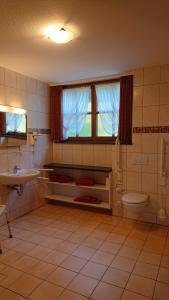a bathroom with a toilet and a sink at Landhausferienwohnungen Am Brockenblick Pension in Sorge +87 photos