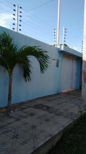 een palmboom voor een blauwe muur bij Linda casa com 2 quartos, um com ar e outro com ventilador, e garagem in Parnaíba