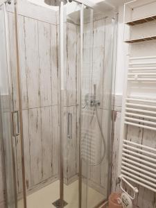 y baño con ducha y puerta de cristal. en Casale Cisanello, en Pisa