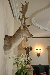 Afbeelding uit fotogalerij van House of Hütter - Wachtelhof Hotel & Spa in Maria Alm am Steinernen Meer