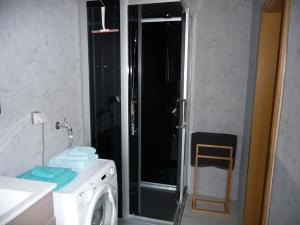 a washing machine in a bathroom with a shower at Wohnung "Niedersachsen" in Hohenhameln