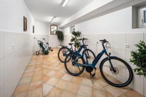 Jízda na kole v ubytování Hotel Preishof nebo okolí