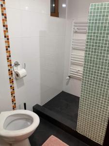 a bathroom with a toilet and a glass shower at Cabana Ruku in Muntele Băişorii