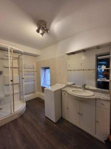 uma grande casa de banho com um lavatório e um chuveiro em La Maison des Martinettes em Étauliers