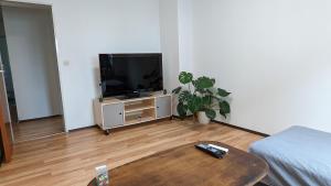 a living room with a television and a coffee table at Vacation Apartment In The Black Forest in Villingen-Schwenningen