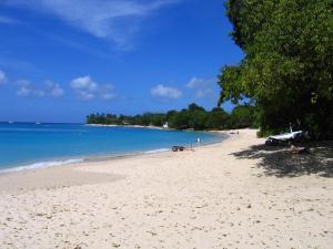 a sandy beach with a tree and the ocean at Annwin Annex in Saint James