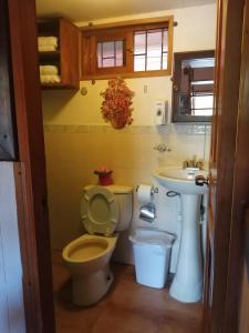 a bathroom with a toilet and a sink at Cabañas Mountain River Lake Inn in Nueva California