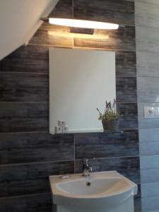 Vannituba majutusasutuses Béke Stúdió Apartman