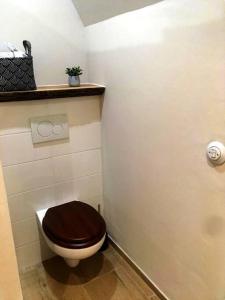 a bathroom with a toilet with a wooden seat at Apartmán Beskydy Trafika Rožnov pod Radhoštěm in Vigantice