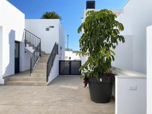 Fotografia z galérie ubytovania Penthouse Balcon del Mar 124 Casasol v destinácii Nerja