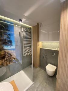 a bathroom with a glass shower and a toilet at APARTAMENT AURA RYBAKI in Gdańsk