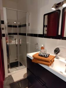 ein Bad mit einer Glasdusche und einem Waschbecken in der Unterkunft La suite 27, chambre d'hôtes de charme in Guingamp