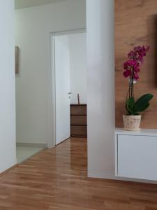Fotografie z fotogalerie ubytování Tvoj Apartman v destinaci Bijeljina