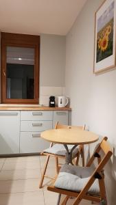Virtuvė arba virtuvėlė apgyvendinimo įstaigoje Przystan Zegrze