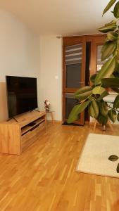 TV a/nebo společenská místnost v ubytování Przystan Zegrze