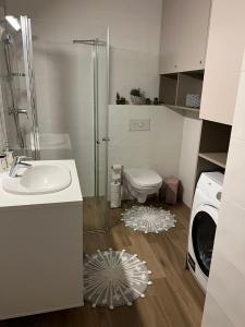 ein Badezimmer mit einem Waschbecken, einem WC und einer Waschmaschine in der Unterkunft Pink Peony in Druskininkai