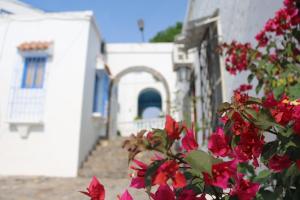 a bush with red flowers in front of a building at Hotel Aldea Plaza in Doradal