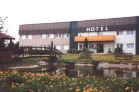 ein Hotel mit einem Teich vor einem Gebäude in der Unterkunft Hotel & Freizeitpark Am Lärchenberg in Schirgiswalde