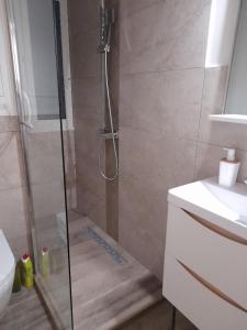 a shower with a glass door in a bathroom at Studio 4 couchages in Auron