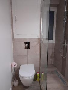 La petite salle de bains est pourvue d'une douche et de toilettes. dans l'établissement Studio 4 couchages, à Auron